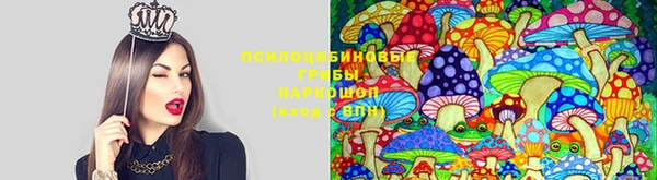 хмурый Мегион