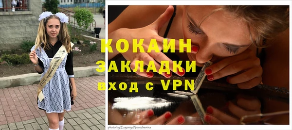 хмурый Мегион