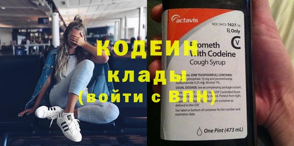 хмурый Мегион