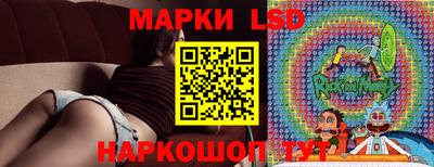 Альфа ПВП Новодвинск