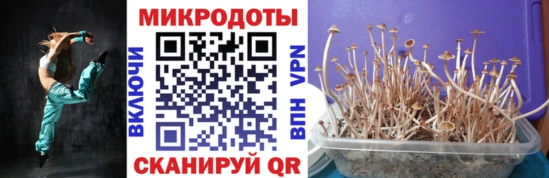 Псилоцибиновые грибы Cubensis  Химки 