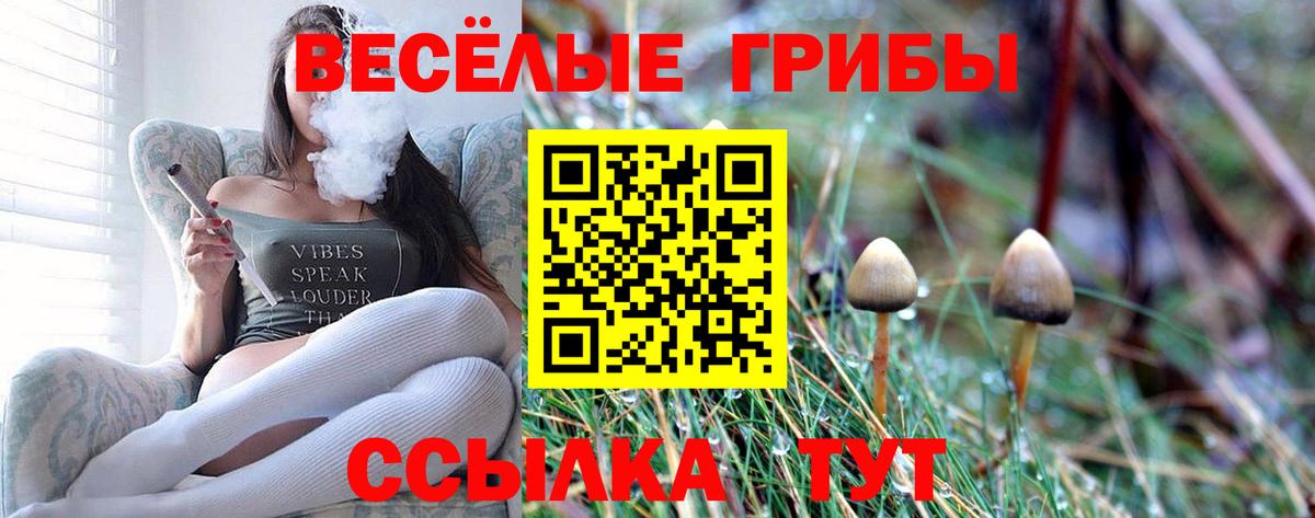 Химки  Галлюциногенные грибы мухоморы  Галлюциногенные грибы мицелий  Вход с VPN 
